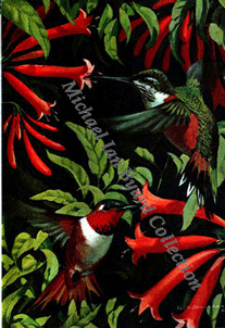Humming Birds Menu Cover